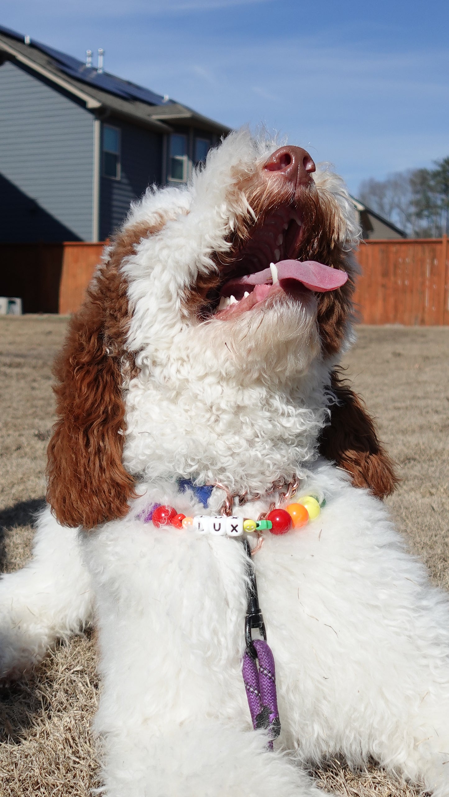 Rainbow Beaded Collar
