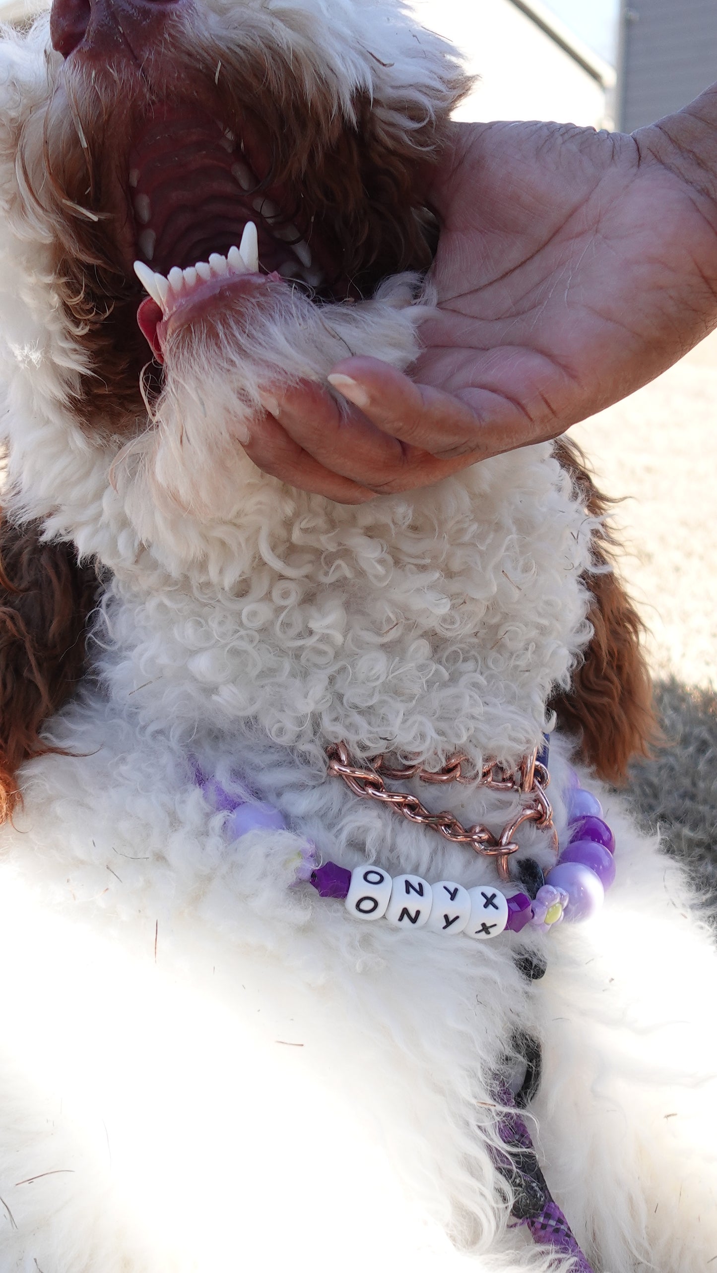 Violet Beaded Collar