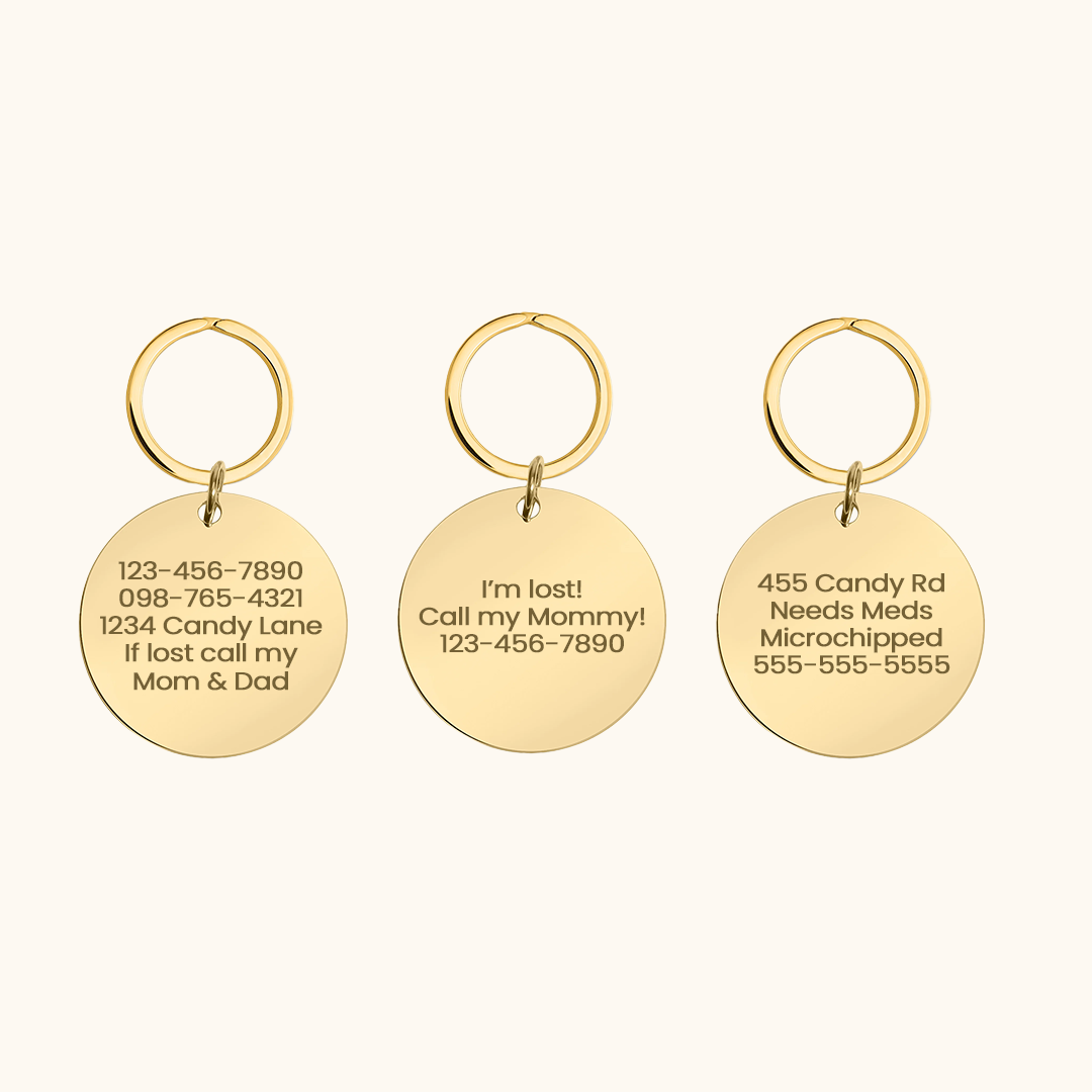 Bone Icon Engraved Pet Tag