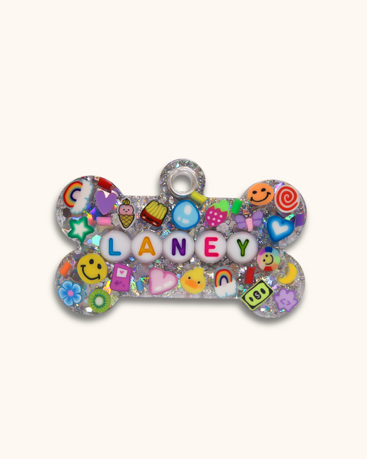Silver/Multicolor Resin Pet Tag