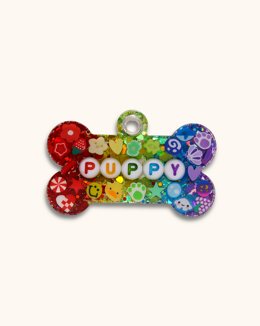 Rainbow Resin Pet Tag