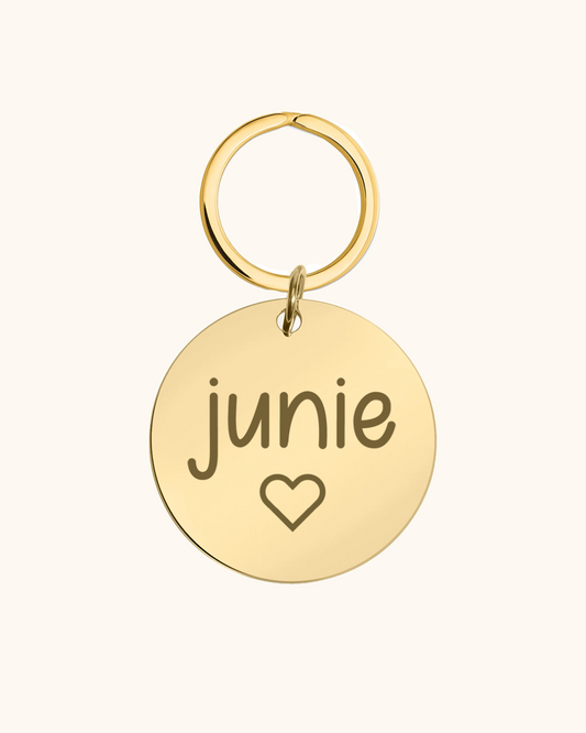 Heart Icon Engraved Pet Tag