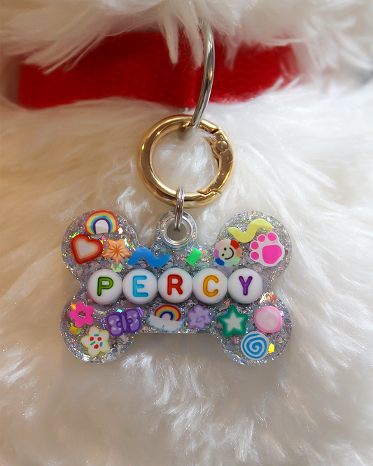 Silver/Multicolor Resin Pet Tag