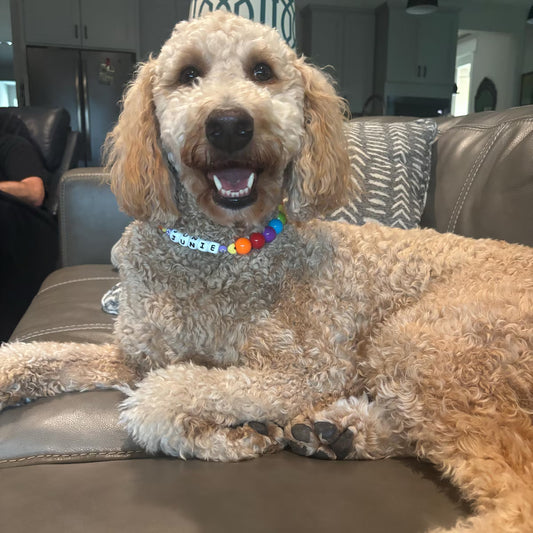 Rainbow Beaded Collar