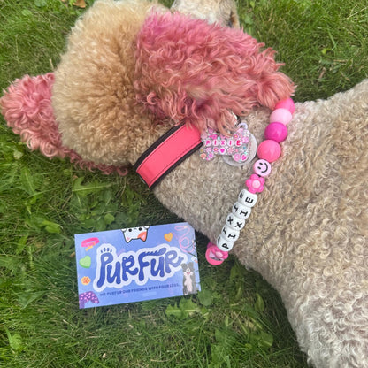 BubbleGum Beaded Collar