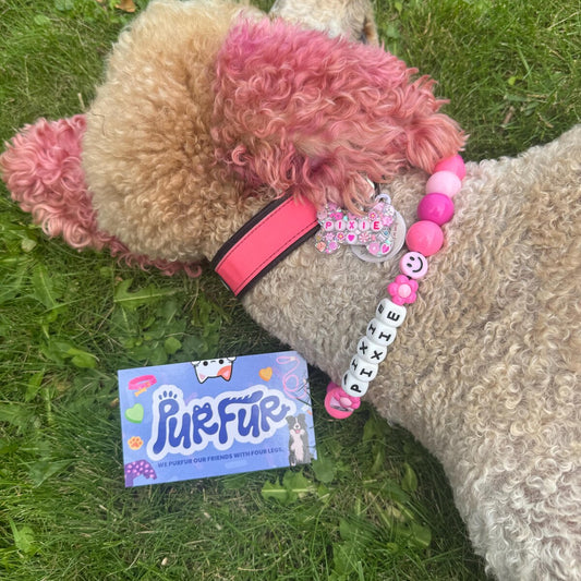 BubbleGum Beaded Collar
